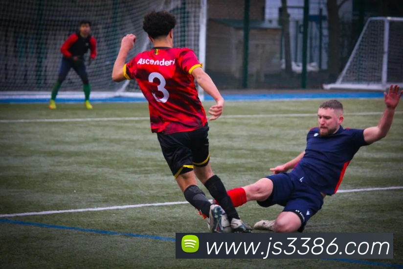 多彩内容专区